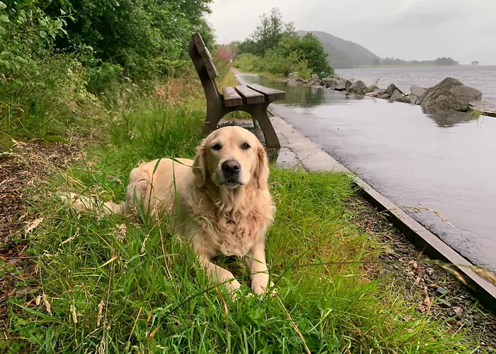 Loch Linnhe Waterfront Lodges With Hot Tubs