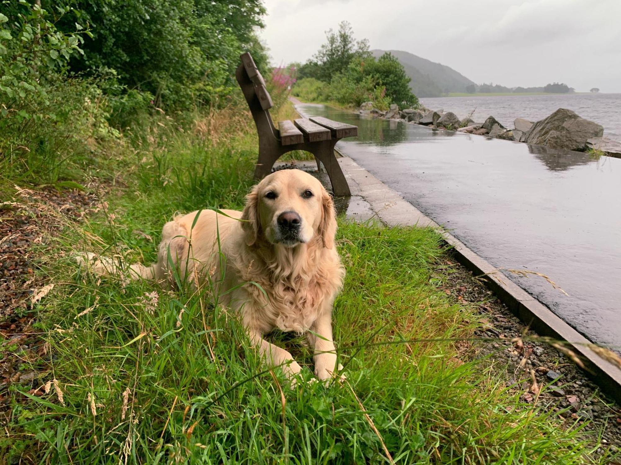 Loch Linnhe Waterfront With Hot Tubs